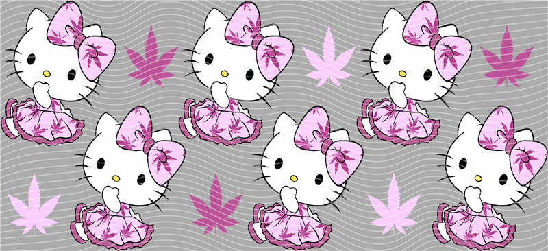 16oz Sanrio-K 215